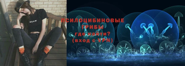 крисы Дмитриев