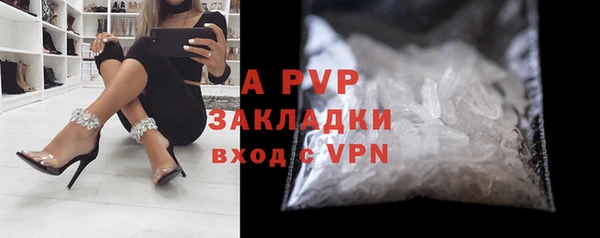 крисы Дмитриев
