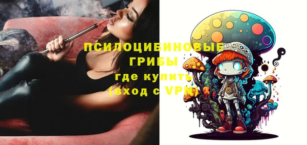 гашик Дмитровск