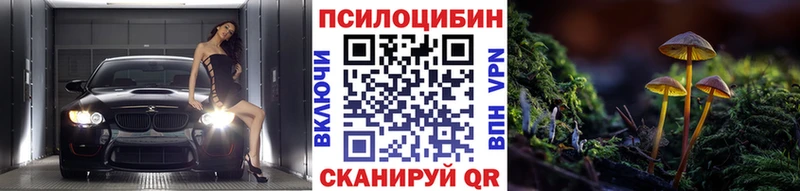 как найти   гидра ONION  Галлюциногенные грибы Cubensis  Приволжск 